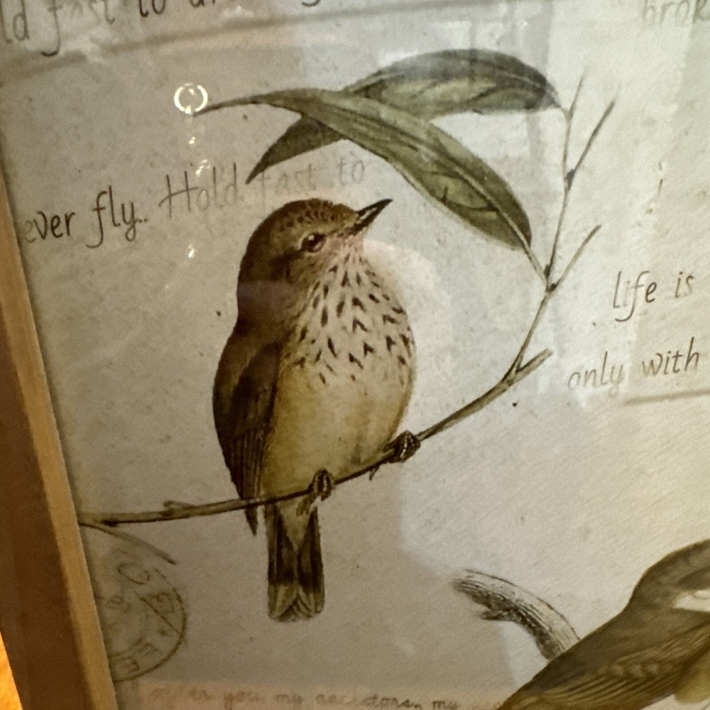 NWT Ashland Birds WARM HERITAGE Wall Decor SPRING PRINTEMPS 9.3 X 13.3 - Picture 3 of 9